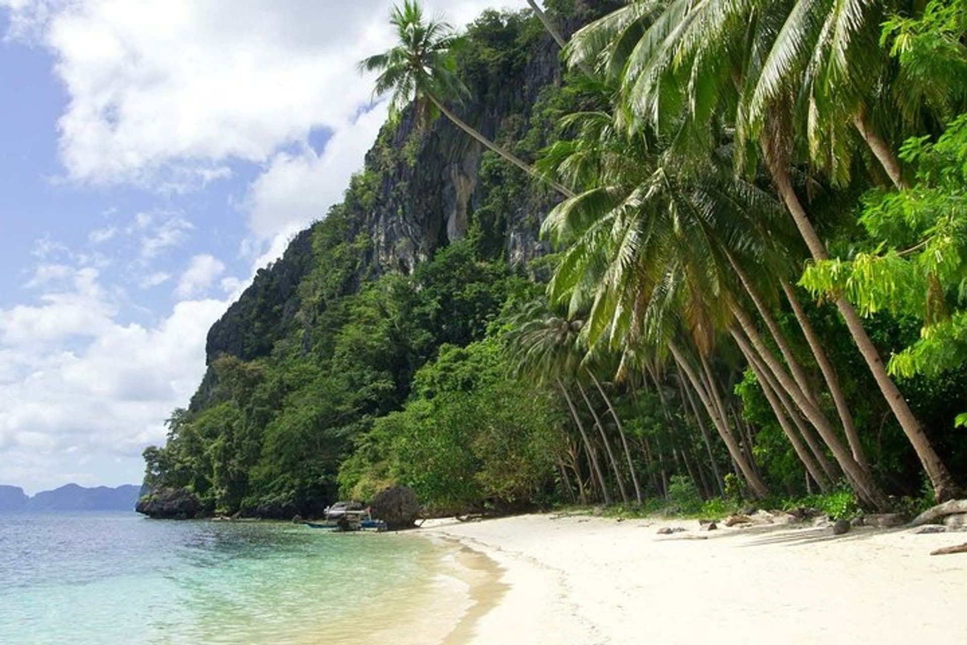 White-sand beach lined with leaning coconut palms below a forested limestone cliff, on the Tour D route in El Nido